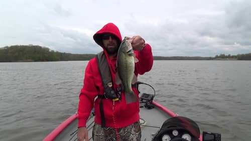 First Few Bass of 2014 (TackleJunky81)