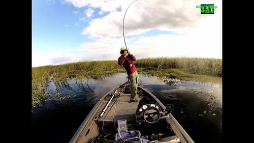 Captain Shane and Me - Punching Mats for Bass on Lake Okeechobee