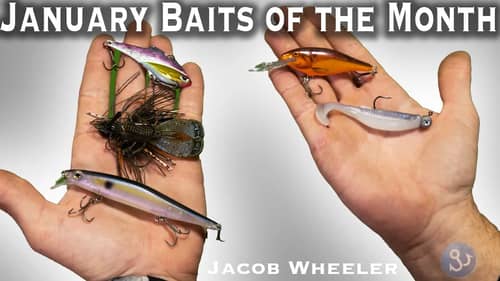 Baits of the Month January 2024 - Jacob Wheeler