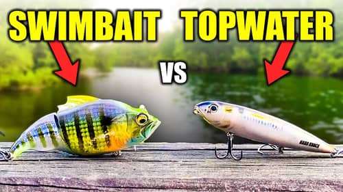 TOPWATER vs SWIMBAIT Fishing TOURNAMENT!!! (BIG FISH)