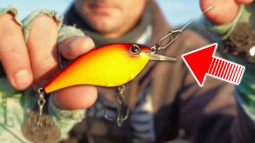 What I WISH Someone Would Have Told me about CRANKBAIT Fishing in WINTER
