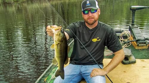 How to Fish for Bass in Ponds with a Floating Worm
