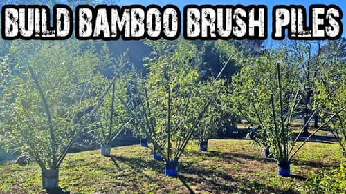 EASY DIY Bamboo Brush Piles! HOW TO Build the PERFECT BRUSH PILE!