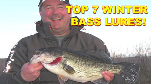 7 Best Lures For Winter Bass Fishing (Big Fish Baits) | Bass Fishing