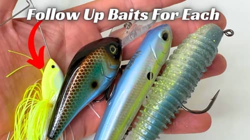 Follow Up Baits Are Critical To Your Success On The Water!