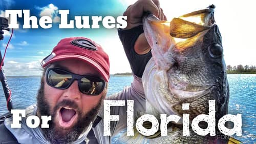 Bass Fishing for Giant Bass in Florida