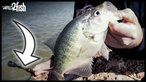 Casting to Open Water Crappie with Jigs Instead of Trolling