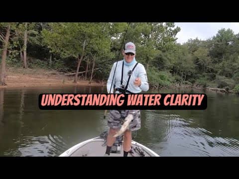 Knowing This One Secret About Water Clarity Will Help You Catch More Bass