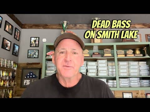 Did The Bassmaster Elite Series On Smith Lake Kill Loads Of Bass?