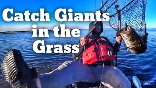 How to Fish for GiANT Bass in the Grass - Bass Fishing