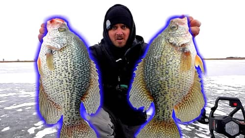 Catching GIANT 15 Inch Crappie!!! (Ice Fishing PB)