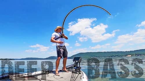 Catching HUGE LARGEMOUTH BASS Fishing DEEP LEDGES In The SUMMER! (DEEP DIVE APP REVIEW)
