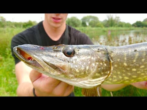 BIG Pike Attacks Hooked Perch -- Ch. 8