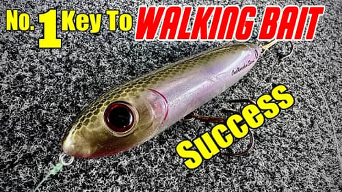 The MOST Important Key to WALKING BAIT Success