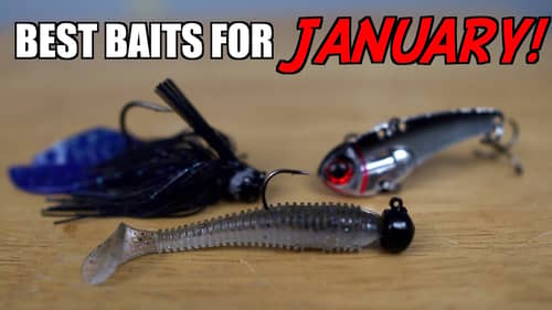 3 Baits You NEED for January Bass Fishing!