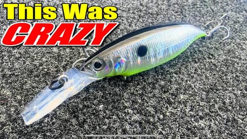 Search The%20Nasty%20Lure Fishing Videos on
