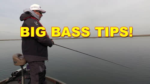 Winter Bass Fishing Tips to Catch More Bass Now | How To | Bass Fishing