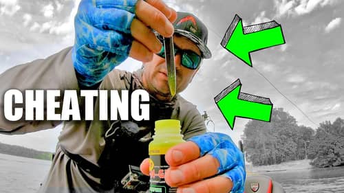 The ONLY Lure You Need to CATCH BASS ~ It's CHEATING!!!