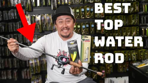 This Is The ONLY Rod You Need For Fishing Smaller Topwaters!