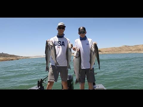 Limits on Castaic Lake (We Caught a Giant!!)