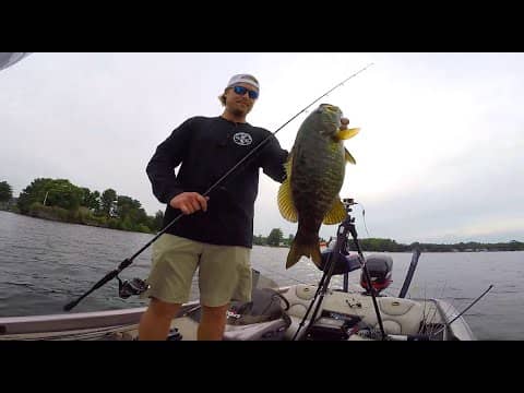 Peric Can't Catch A Smallmouth Bass...