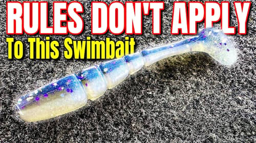 The Rules DON'T Apply To This Swimbait