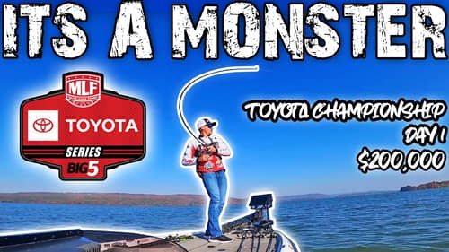 MLF Toyota Championship PRO BASS FISHING TOURNAMENT For $200,000! (DAY 1)