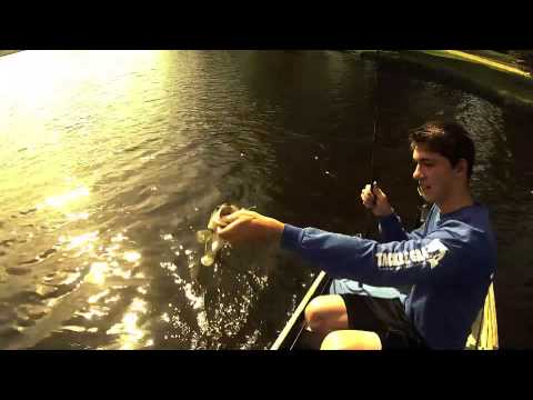 GoPro X Mac's Tackle Spinnerbaits