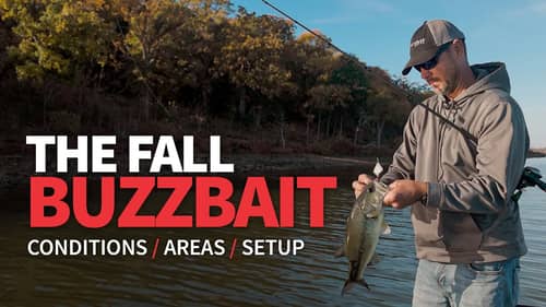 The Fall BUZZBAIT – Knowing WHEN to throw it!