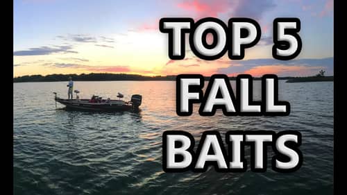 Top 5 BAITS For FALL FISHING! Best Bass Lures