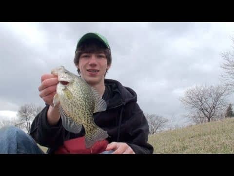 Big Illinois Crappie/Crappie hits topwater in the SNOW!!
