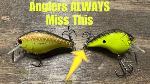 One Of THESE Crankbaits Lands More Bass..95% Of Anglers Won’t Guess Why…
