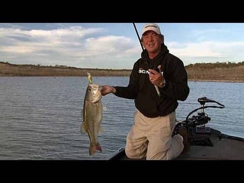 How to Fish the Fat Free Shad SquareBill Crankbait | Bass Fishing