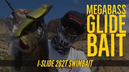 Megbass I-Slide 262t Swimbait in the Arizona Desert