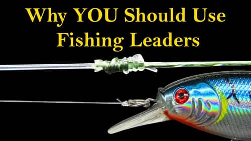 Fishing Leaders & Why YOU Need to Use Them