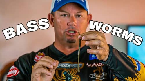 No Action CATCHES MORE BASS | Bobby Lane Fishing Tips