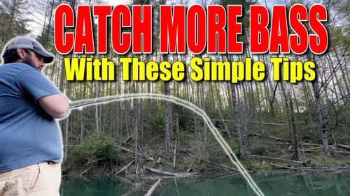 Catch MORE Bass With These Simple Tips - Post Spawn Tips and Tricks