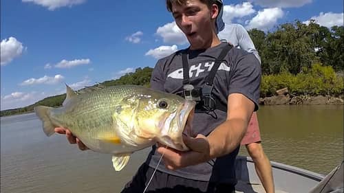 Catching Giant GHOST Bass
