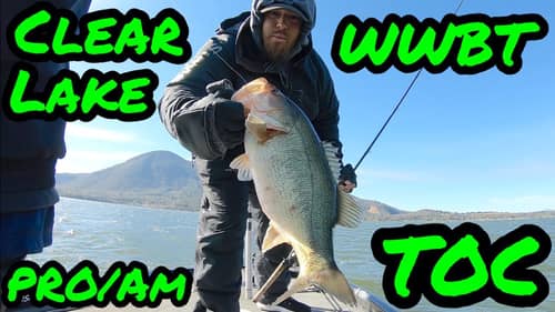 Fishing for a BRAND NEW Bass Cat Boat!! | WWBT Clear Lake Pro/Am TOC
