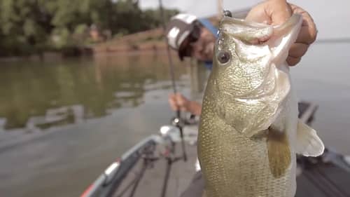 Mike Iaconelli Catches a BIG Potomac River Bass!