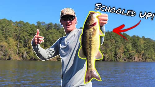 Catch MORE FISH using this Technique (Lure Progression in Current)