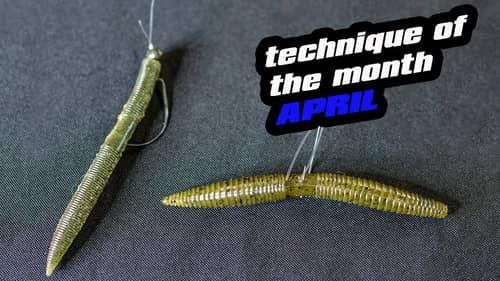 Technique Of The Month | April | Deeper Spawners