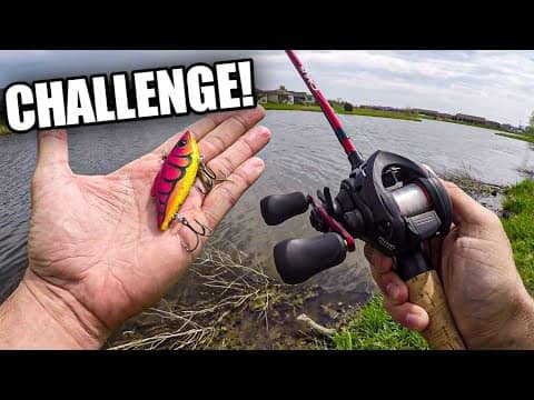 Lunch Break Bass Fishing Challenge (Custom Crankbait Giveaway!)