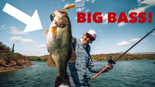 Is This The Best Way To Catch GIANT SUMMER TIME BASS!? Deep Crankbaits!!