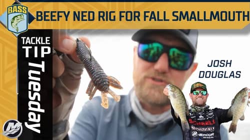 Key features of a Ned Rig to catch big smallmouth