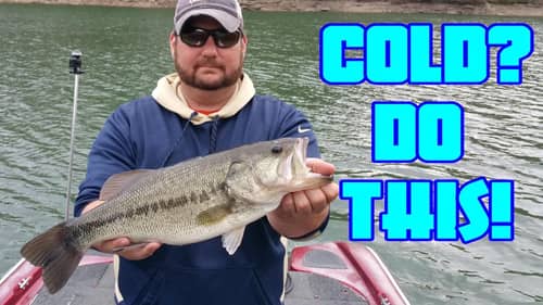 Deep Jerkbaits On These Spots For BIG Winter Bass