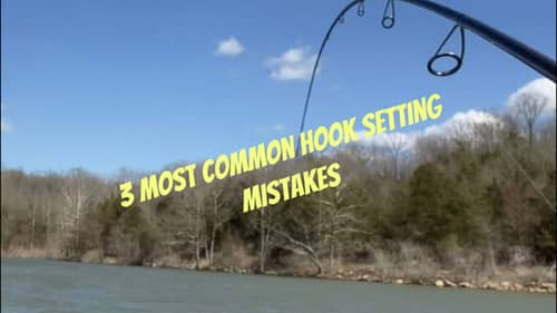 How To Known When To Set The Hook