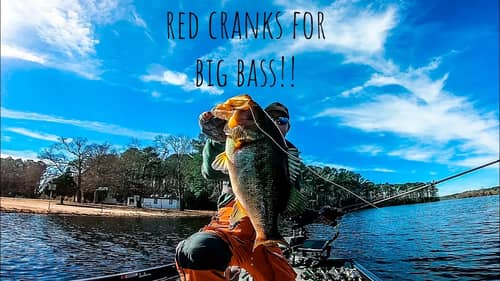 RED CRANKBAITS Crush BIG Late Winter BASS!! || First Trip of 2023