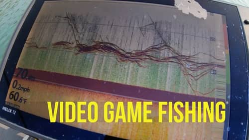 Video Game Fishing for Bass - Deep Shad Schools