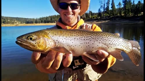 Fishing Montana MOUNTAIN Lakes For Trout!